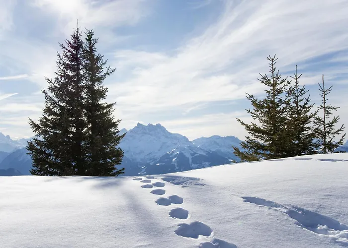 Apartmán La Haute Cime 16 By Interhome Villars-sur-Ollon